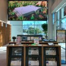 문산도서관 이미지