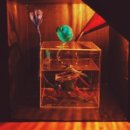 문고리미술교육학원 이미지