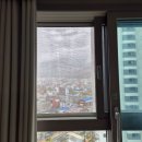 더원결혼정보주식회사 | 대구방충망 교체 후기 방충망의 정석 블랙스텐 미세 방충망 시공 솔직후기