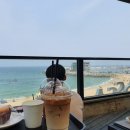 안목해변 이미지
