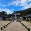 CU 기장교리중앙점 | 부산 아기랑 가볼만한 곳 기장 장안사 유모차 산책 장안사계곡