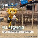 신도리-5 | 대구 근교 당일치기 여행 코스 추천 <청도 레일바이크> 4살 아이랑 방문후기