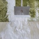 롯데화성세탁 이미지