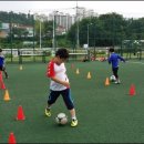 세계효 태권도장 네이버블로그