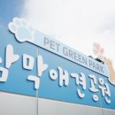 삼막5 이미지