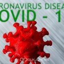 하구둑보신옥 이미지