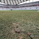 종합운동장 잔디그라운드 이미지