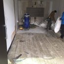 서울애견 미용실 이미지