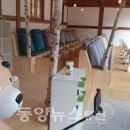 영천한의마을 비둘기 이미지