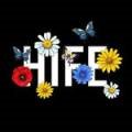 하이프(HIFE) 이미지