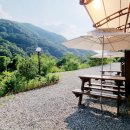 모더니컬 이미지