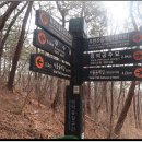 도봉산 우이암의 진달래꽃 살짝이 즈려밟고 가소서 이미지