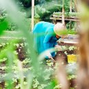 산림기능사 국가기술자격증 이미지