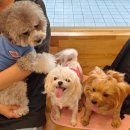 기린동물병원 이미지