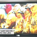 민스컴퍼니 - 아산시 | 민스컴퍼니