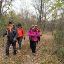 하곡마을 이미지