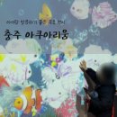 충주 우체국 | 연말까지 무료!! 충주 아쿠아리움⎟비 오는날 아이와 함께 가기 좋은 충주 실내 체험, 데이트 명소