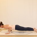 차투랑가 단다아사나 / Chaturanga dandasana 이미지