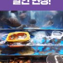 풍성한할인마트 이미지