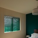 벽돌집순이 이미지