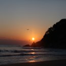 일출상사 이미지