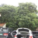 안인펜션 이미지