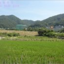 성지골천 이미지