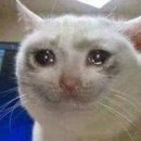 봉평골 메밀막국수 이미지