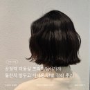 (주)케어빌리지 | 운정역 미용실 프리미엄이가자 돌잔치 앞두고 다녀온 단발 정리 후기