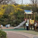 응봉개나리어린이공원 이미지