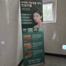 트로이온 | 대전피부관리 송촌동 다경미힐링스킨&amp;바디에서 트로이필 받고온 후기