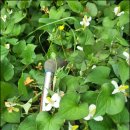 신장농장 이미지