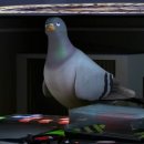 포낙보청기 서수원센터 이미지