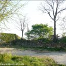 면천보건지소 이미지