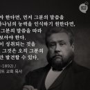 헤세드 이미지