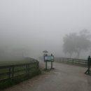 보광목장 이미지