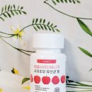 플랜씨 애사비 알약으로 혈당관리 후기 💊