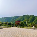 정다운반점 이미지