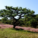 가산수피아 이미지