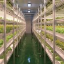 거북농장 이미지