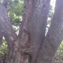 오르다 보면 이미지