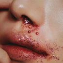 (주)이월 네이버블로그