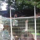 고봉로175번길 이미지