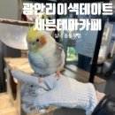 광안리이색데이트 부산 아이랑 실내 동물체험 세븐테마카페