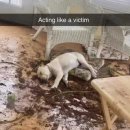 무안공공도서관 | 교보문고 문구 정리 알바 면접 후기(라고 썼지만 후기보다는 불평 多)