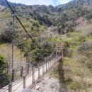 예경보시스템 이미지