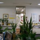 명품주유소 이미지