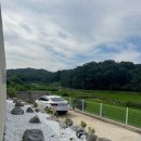 스테이 오늘 이미지