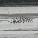 하단동1211 이미지