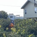 두두농장 이미지